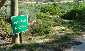 Biologica