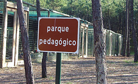 Escola